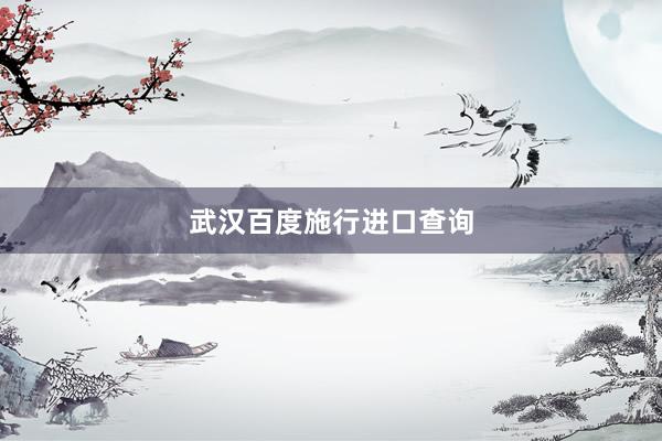 武汉百度施行进口查询