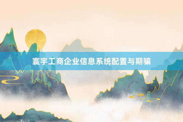 寰宇工商企业信息系统配置与期骗