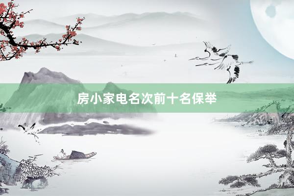 房小家电名次前十名保举