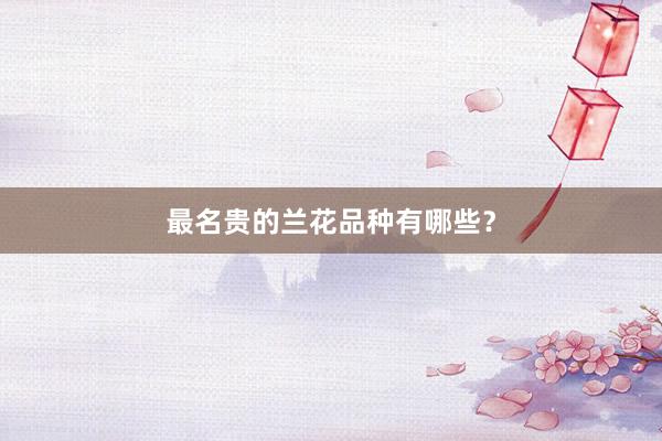 最名贵的兰花品种有哪些？