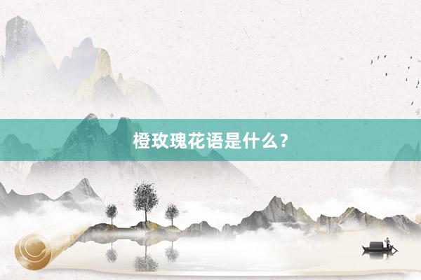 橙玫瑰花语是什么？