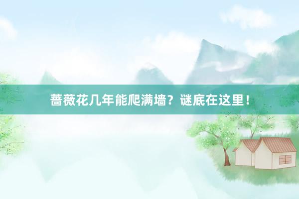 蔷薇花几年能爬满墙？谜底在这里！